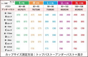 サイズ表