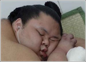 千代丸たん